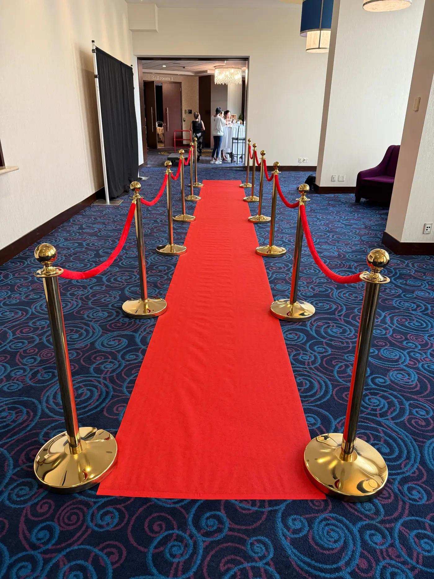 Red carpet runner lined both sides with gold posts and red velvet ropes