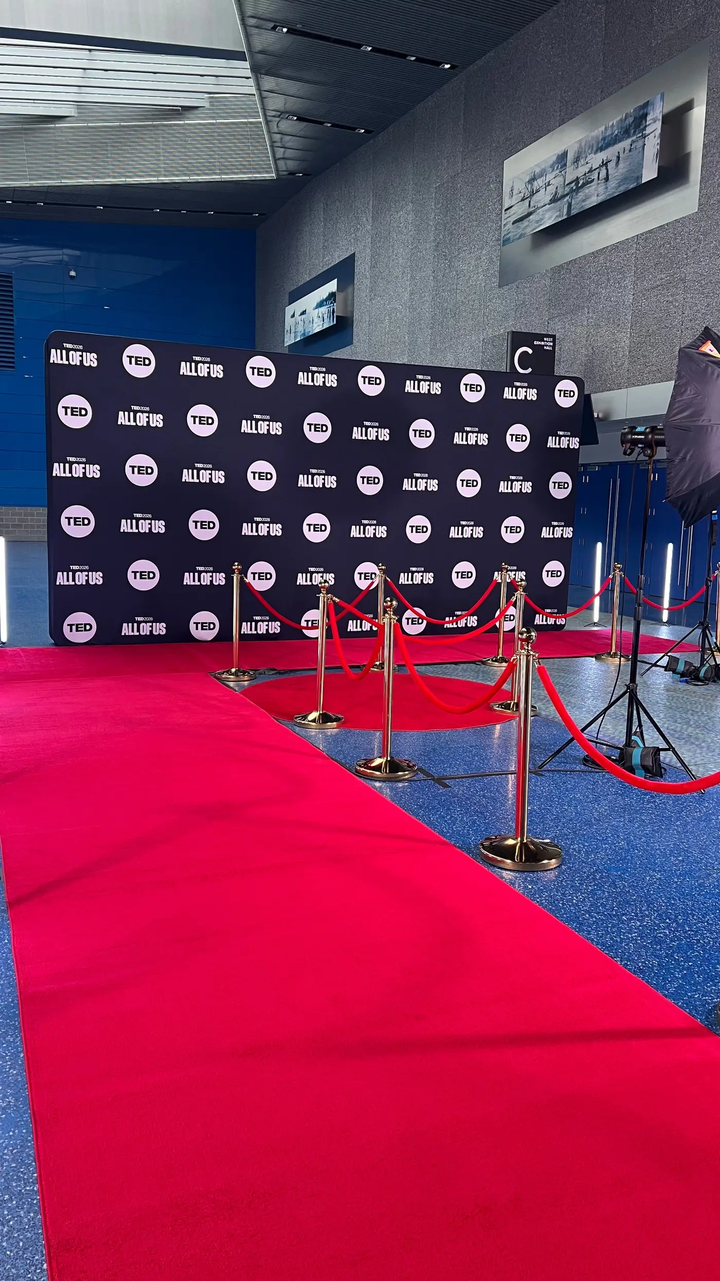 Rope stanchions on a red carpet in front of a sponsor backdrop